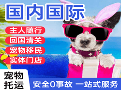 大同云冈航空快运国际宠物托运 【国